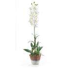   Natural White Dendrobium w/White Wash Pot Silk Flower Arrangement
