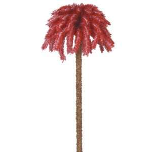  South Carolina State Palm Tree 8 Feet: Sports & Outdoors