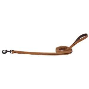  Weaver Leather 3/4 X 6 OUTLAW DOG LEASH, GB: Pet Supplies