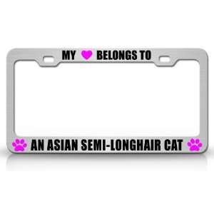  MY HEART BELONGS TO AN ASIAN SEMI LONGHAIR Cat Pet Steel 