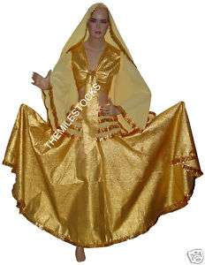 TMS GOLDEN Tissue Brocade Skirt Top Veil Belly Dance NW  