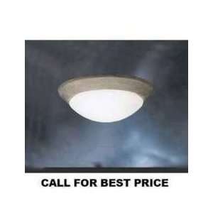   Light Incandescent Ceiling Space by Kichler  DISCONTINUED