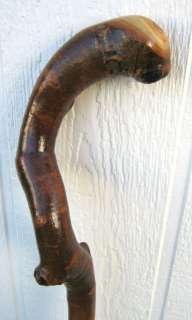 Hand Carved Crafted Colorado Aspen Cane Walking Stick  