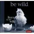 Born to be wild von Chiara Doran von Groh Verlag ( Gebundene Ausgabe 