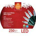 Home Depot   Case of 4, 250 M5 LED Light set, White customer reviews 
