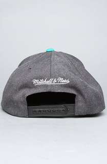Mitchell & Ness The Vancouver Grizzlies Arch Logo G2 Snapback Hat in 