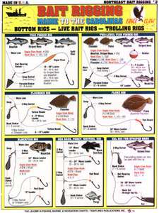 SALTWATER New England Bait Rigging Chart  Tightlines #2  