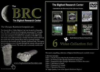 Bigfoot Sasquatch Scientific Research Collection Authentic Footprint 