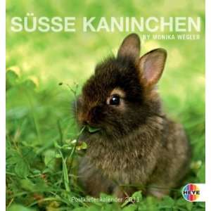 Süße Kaninchen 2011. Postkartenkalender  Monika Wegler 