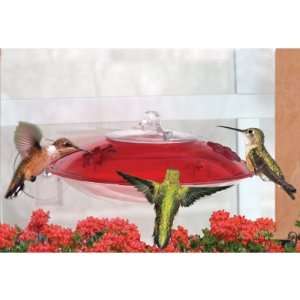  Droll Yankees Window Mount Hummingbird Feeder with Nectar 