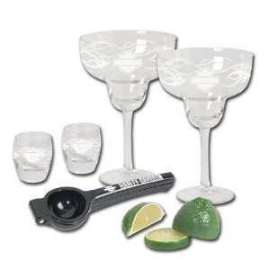   Davidson Silhouette Bar & Shield Margarita Glass Set