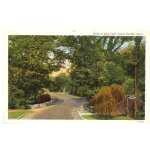 1930s Vintage Postcard Drive in Ellis Park   Cedar Rapids Iowa