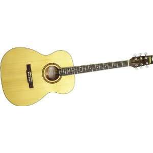  Washburn D10 Series Folk Style Acoustic Guitar: Musical 
