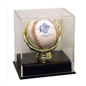  Deluxe acrylic baseball case gold glove holder Sports 