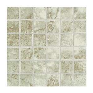  American Olean 12W x 12L Montevina Gray Ceramic Tile 