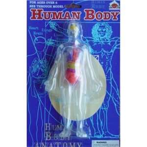  HUMAN BODY ANATOMY MODEL KIT 