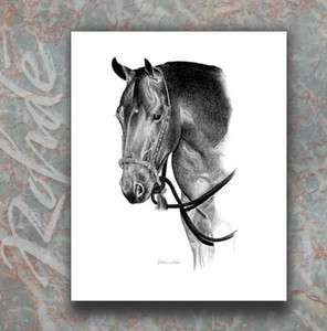 AMERICAN QUARTER HORSE ART western bosal pencil portrait GORGEOUS 