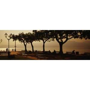  Benches in a Park, Torri del Benaco, Lake Garda, Italy 