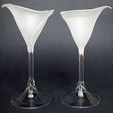 Calla Lily Lilies Flutes Champagne Glasses Frosted  
