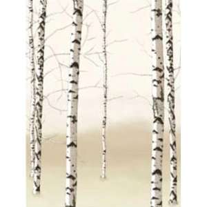  Wallpaper 4Walls Eco Value Murals Birch trees I2308PM 