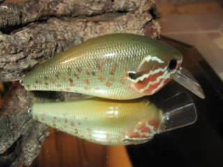 DC Custom Painted Crankbait RC 2.5 in Light Punkinseed Lucky Lure 