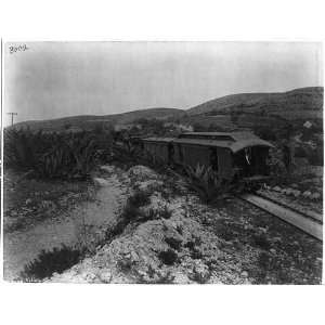   of rear of train,Mexico,1884 1885,landscape,By William Henry Jackson