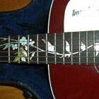 Custom Dots 5/16(WS) Fret Markers Inlay Sticker Guitar  
