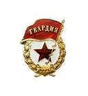 russian pin badge red guard flag 