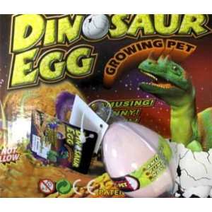  Hatching Dinosaur In Egg Case Pack 12: Toys & Games
