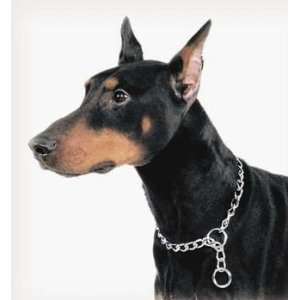    Titan Chain Training Dog Collar Extra Heavy 22In: Pet Supplies