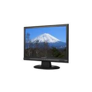   G19LWK 19 inch LCD Multimedia Widescreen Desktop Monitor: Electronics