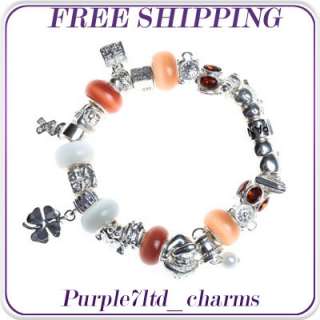 1pc crystal lampwork silver pendant European beads charm bracelet 