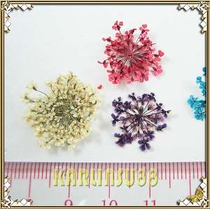 Dried Dry Flower 3D Nail Art Decorations UV Gel Acrylic  