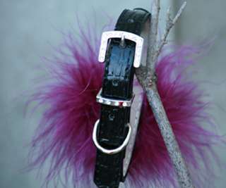 Black Leather Dog Collar with Purple feather