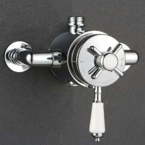   Reed Traditional Dual Exposed Thermostatic Shower Valve: Home
