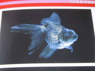 Fish Book P Fancy Japanese Goldfish Ranchu Tropical R  