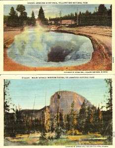 Vintage Linen Postcards, Yellowstone National Park  